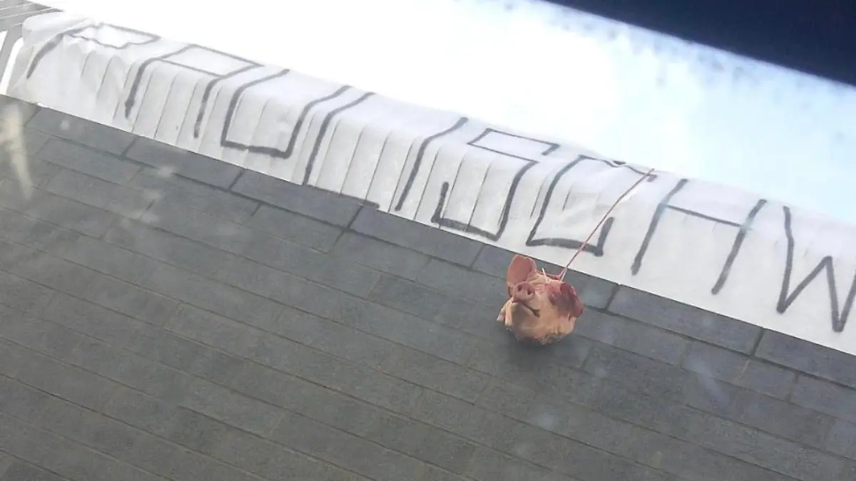 Schon im Oktober 2021 provozierten Hansa-Anhänger mit Schweineköpfen.