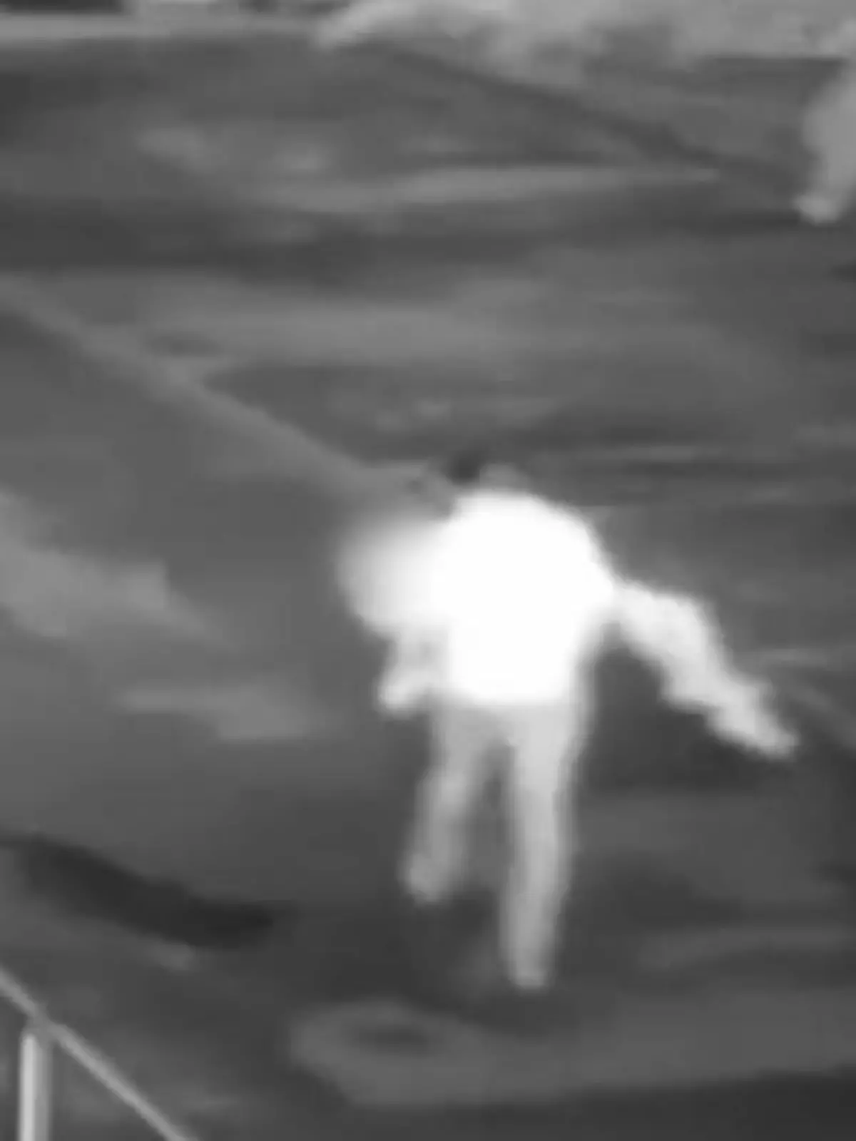 Ein Mann trägt eine Frau über eine Straße. Was zuerst harmlos klingt, wurde für diese Frau zu einem absoluten Albtraum. Denn der Student, der sie durch die Nacht trägt, wird sie später vergewaltigen.