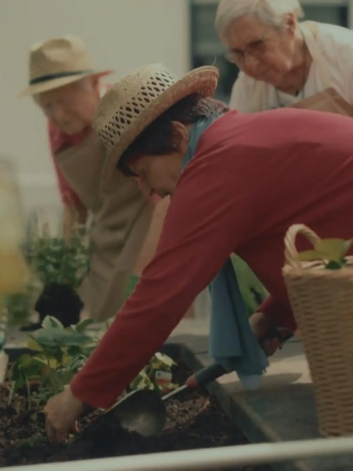 Bild zu: "Gärtnern? Das war doch ihr altes Leben!"