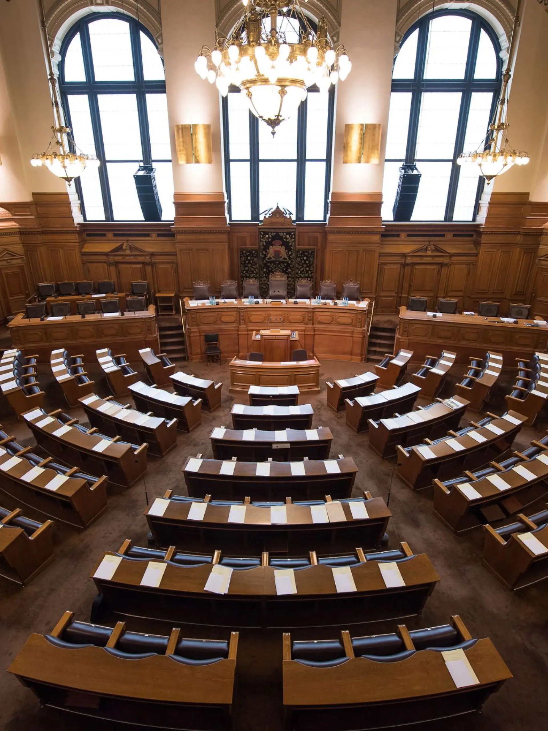Bild zu: "Hamburgische Bürgerschaft für schnelle Prüfung eines AfD-Verbots"