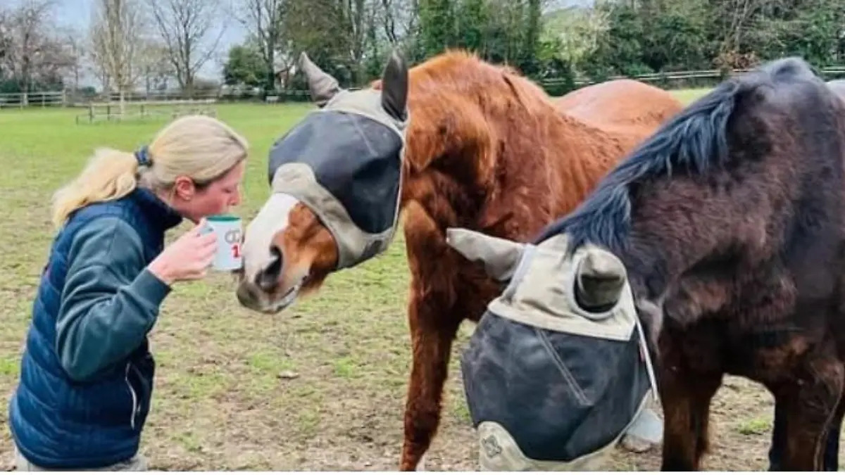 Laura Tomlinson mit ihren geliebten Pferden Alf und Andy