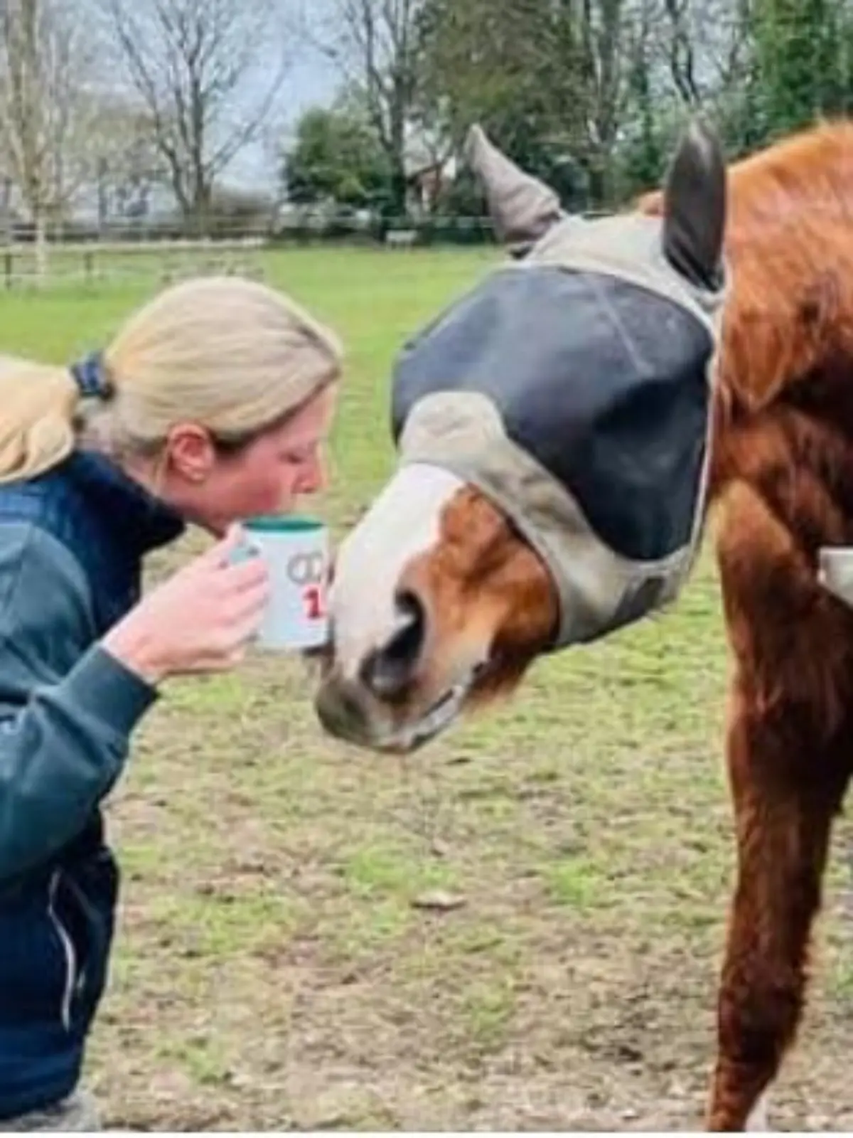 Laura Tomlinson mit ihren geliebten Pferden Alf und Andy