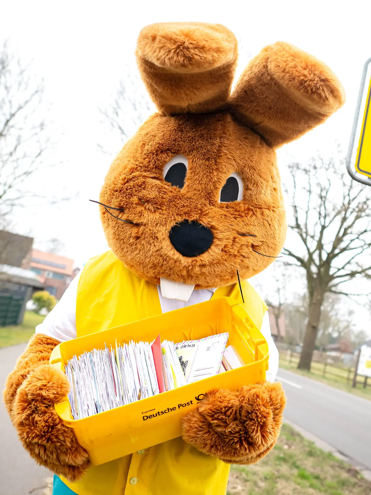 PRODUKTION - 24.03.2025, Niedersachsen, Ostereistedt: «Hanni Hase» läuft mit einer Kiste voller Briefe durch Ostereistedt. «Hanni Hase» und sein Team beantworten noch bis zum 15. April die Briefe von Kindern aus aller Welt. Vier Wochen vor Ostern sind in der Osterpostfiliale der Deutschen Post in Ostereistedt bereits rund 10.000 Briefe eingegangen. (zu dpa: ««Hanni Hase» beantwortet Osterpost») Foto: Sina Schuldt/dpa +++ dpa-Bildfunk +++