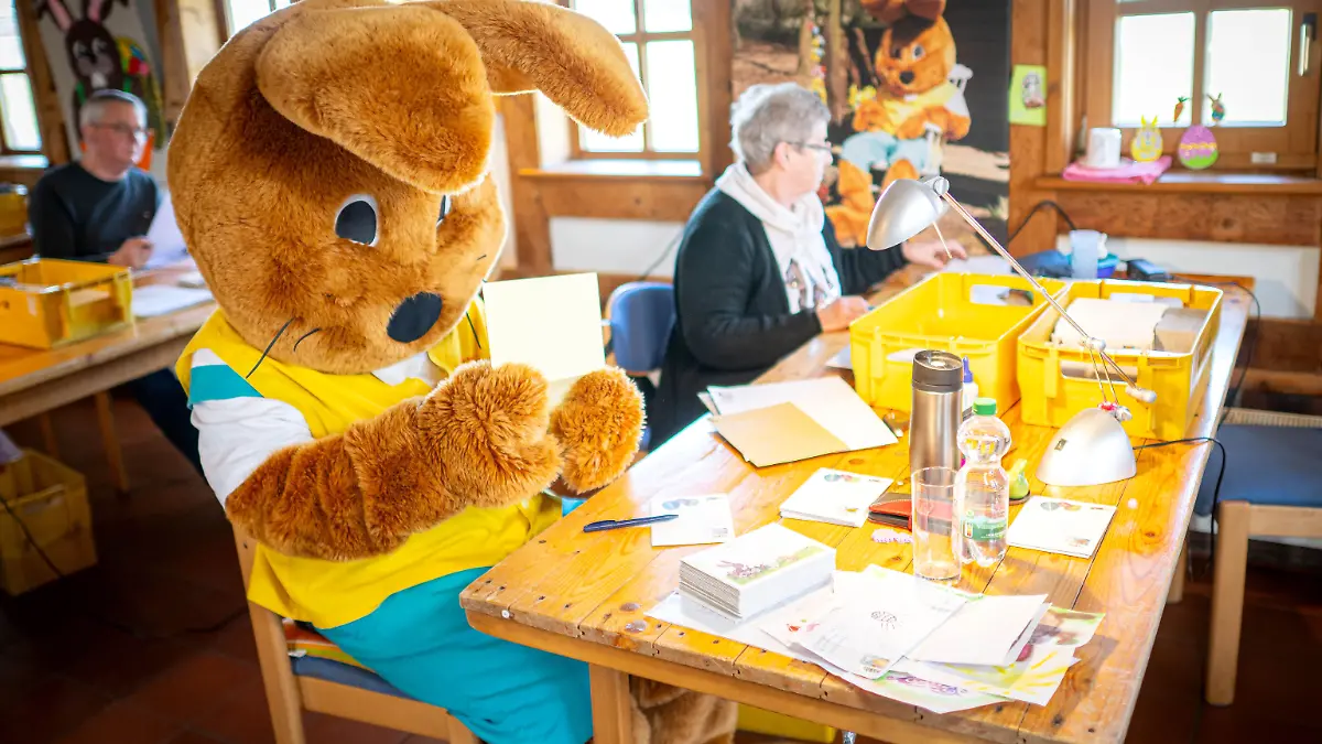 PRODUKTION - 24.03.2025, Niedersachsen, Ostereistedt: «Hanni Hase» (l) sitzt vor zahlreichen Briefen in der Osterpostfiliale. «Hanni Hase» und sein Team beantworten noch bis zum 15. April die Briefe von Kindern aus aller Welt. Vier Wochen vor Ostern sind in der Osterpostfiliale der Deutschen Post in Ostereistedt bereits rund 10.000 Briefe eingegangen. (zu dpa: ««Hanni Hase» beantwortet Osterpost») Foto: Sina Schuldt/dpa +++ dpa-Bildfunk +++