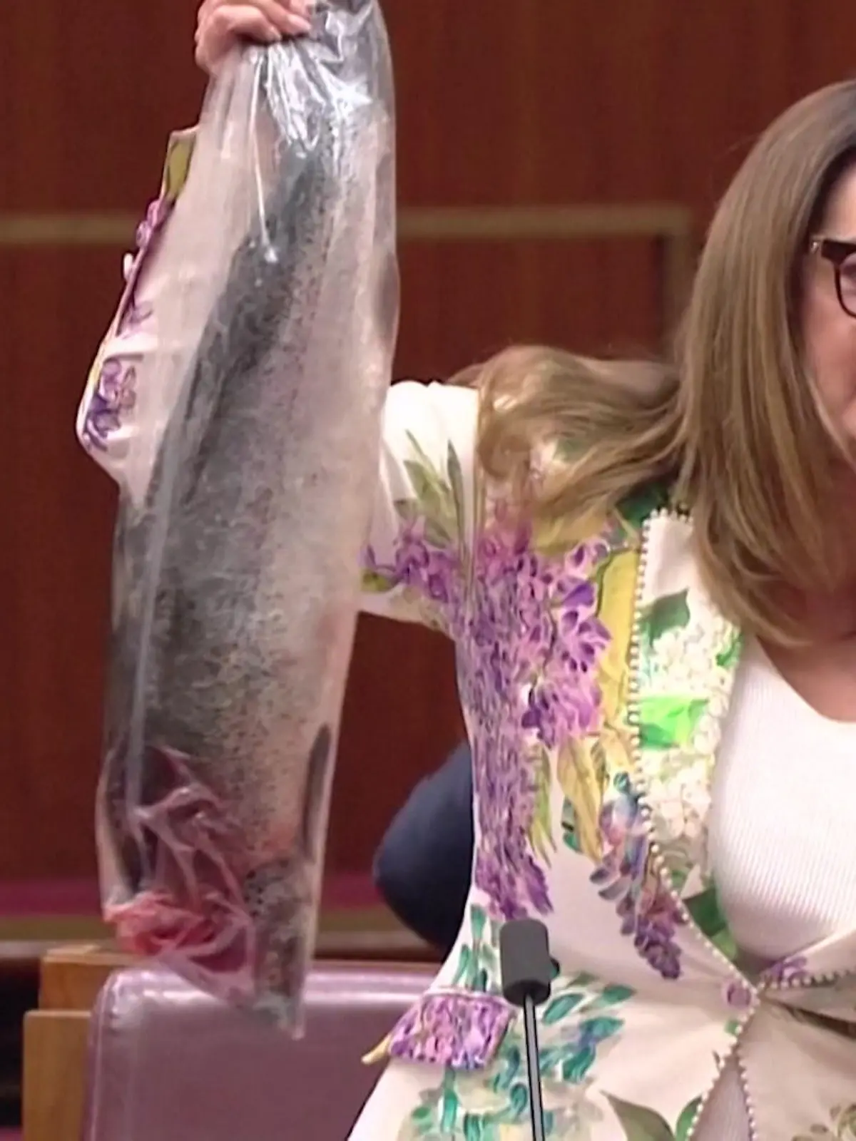 Bild zu: "Toter Fisch im Parlament! Grünen-Politikerin mit Ekel-Protest"