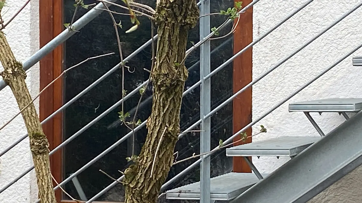 In einem Karton im Keller dieses Hauses wird die erste Babyleiche gefunden