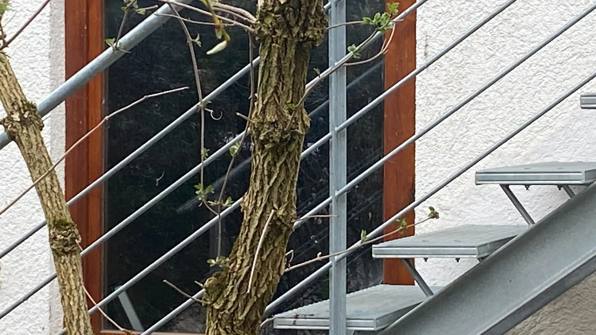 In einem Karton im Keller dieses Hauses wird die erste Babyleiche gefunden