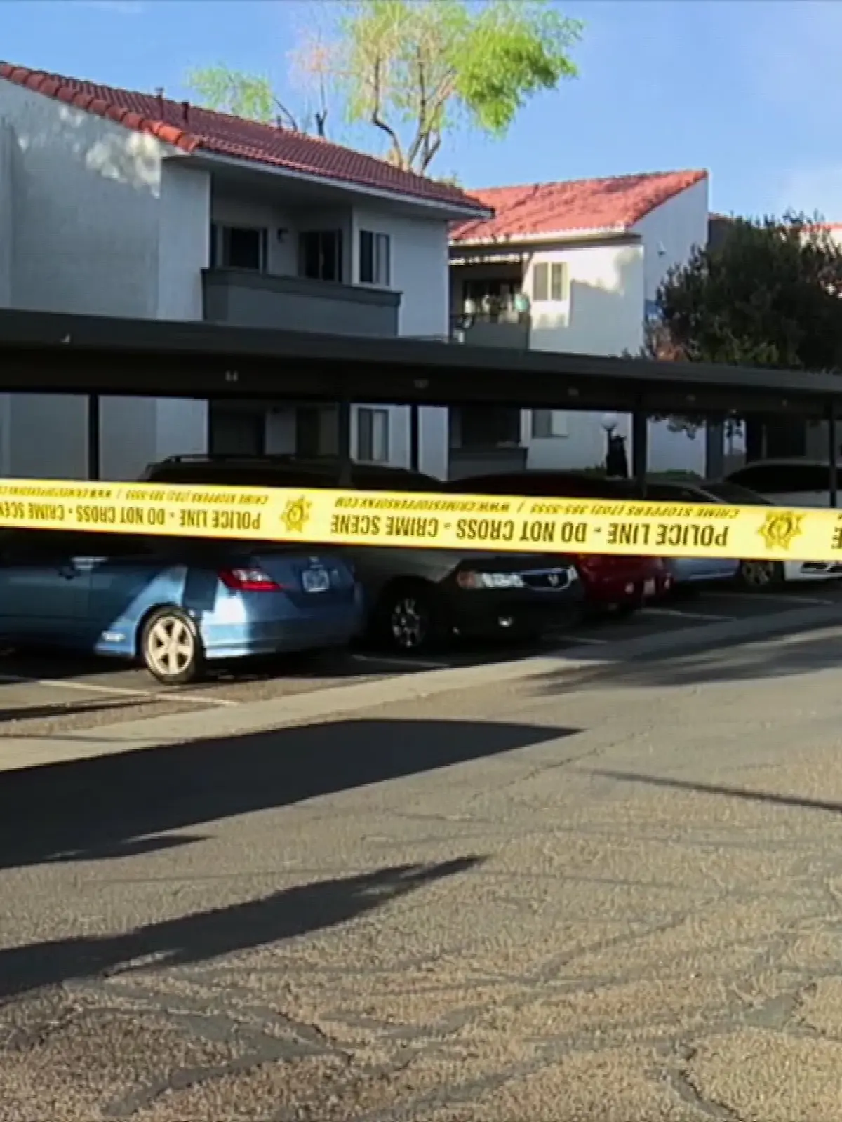 Bild zu: "Schrecklicher Verdacht! Tötete Babysitterin ihren Schützling (3)?"