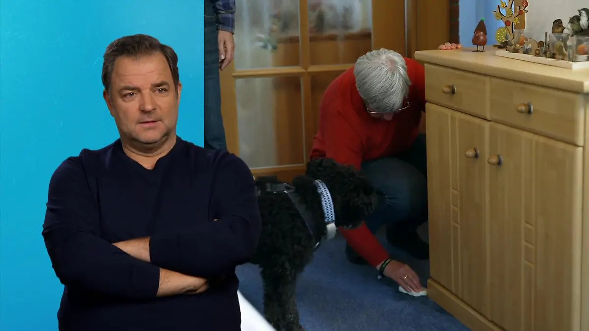 Berni markiert im Haus sein Revier Schrank angepinkelt