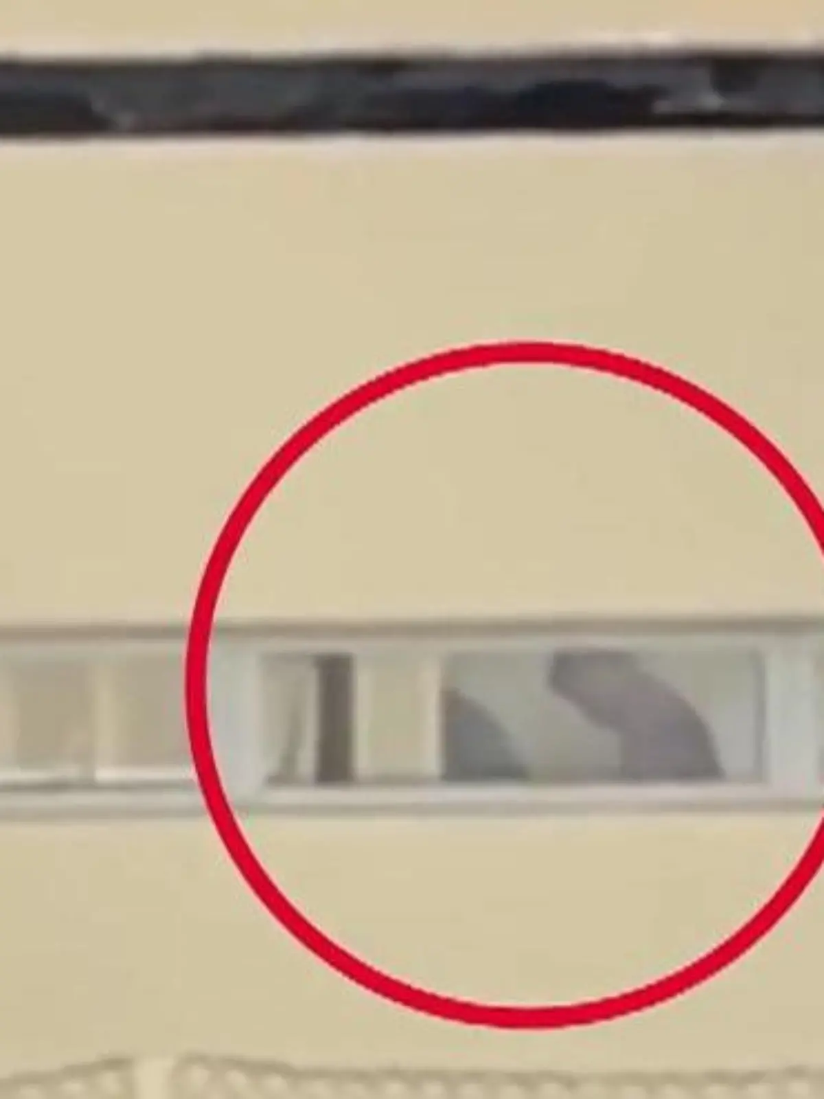 Man sieht ein Paar durch ein Fenster. Dort haben sie offenbar Sex.