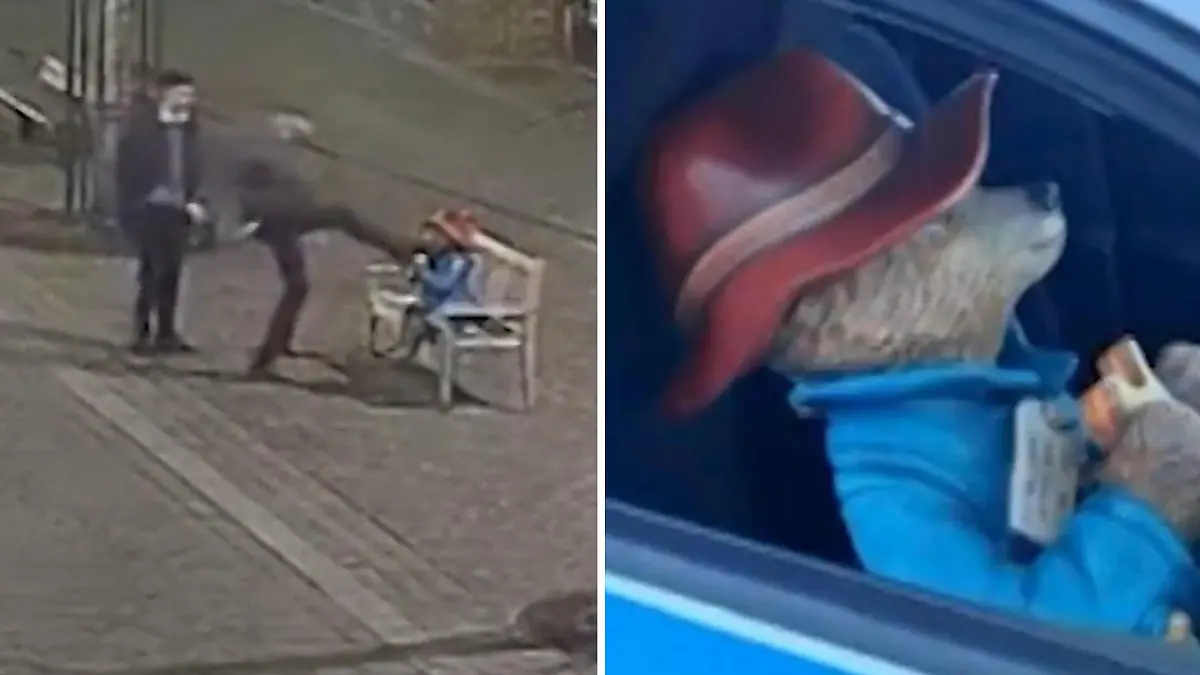 Skorpion in Shein-Paket: 25-jährige Mutter wird gestochen – so reagiert ...