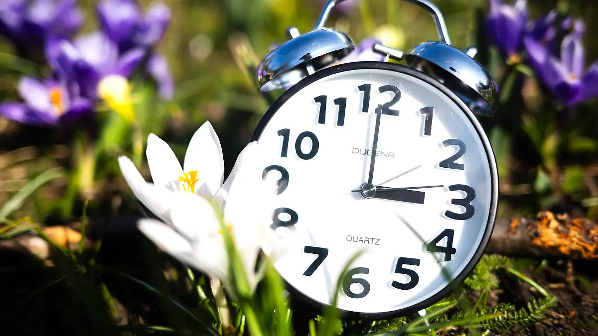 Sommerzeit, Schufa, Gartenarbeiten – das sind die wichtigsten Änderungen im März