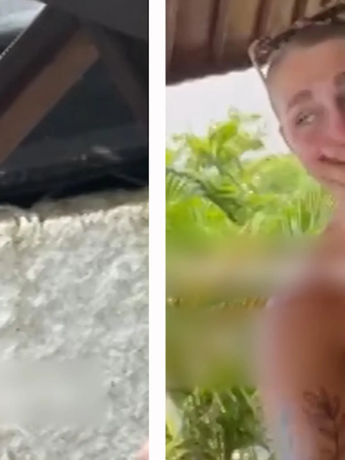 Bild zu: "Frecher Affe beklaut Touristin (25)"