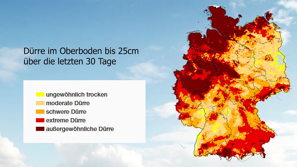 Dürre.png