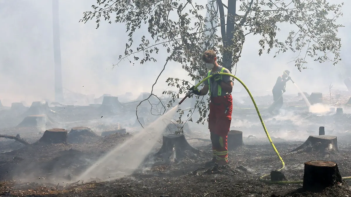 Der Angeklagte soll für diesen brennenden Wald in Unterfranken verantwortlich sein. (Archivfoto)
