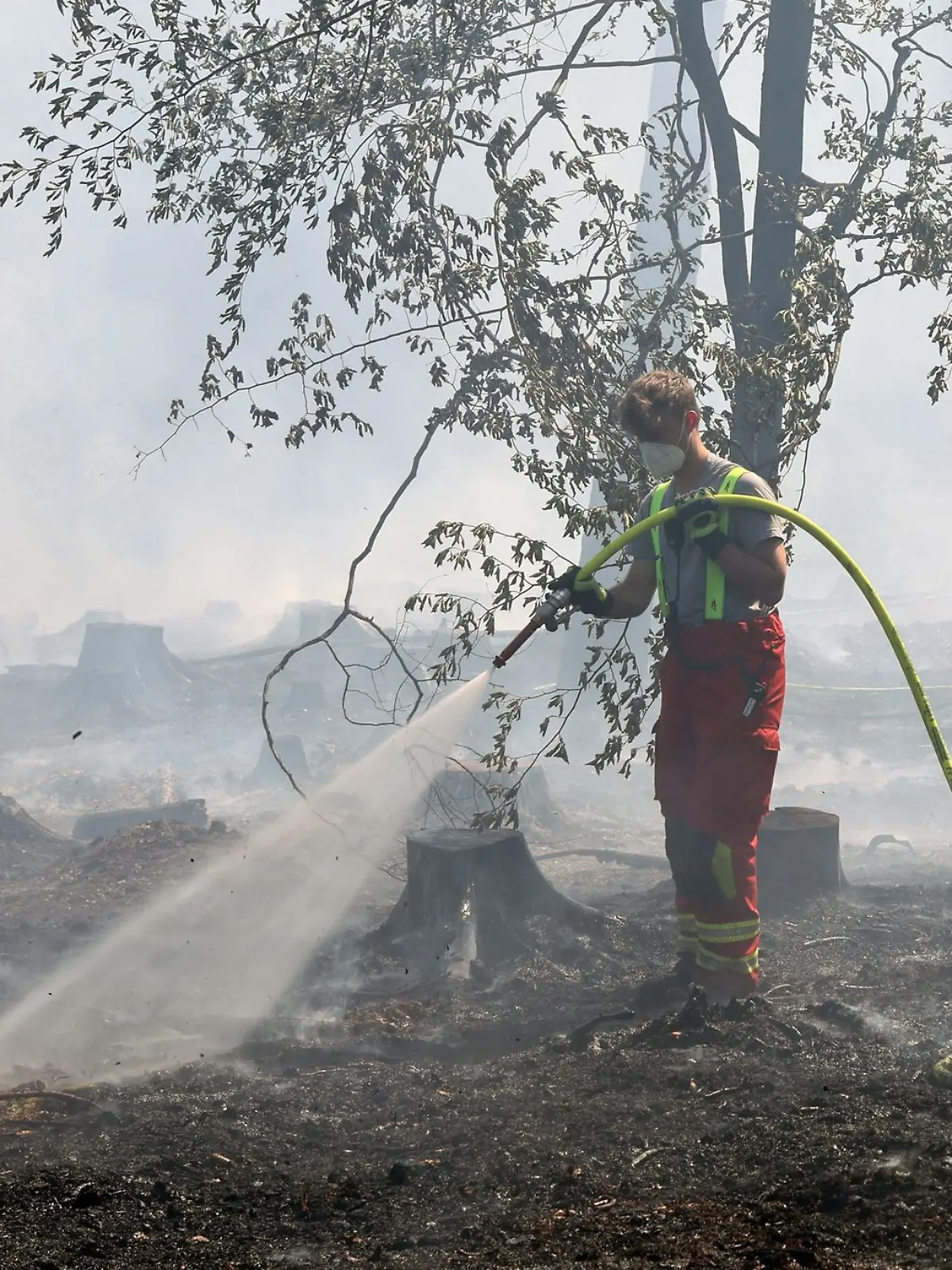 Bild zu: "Feuerwehrmann gesteht Brandserie"