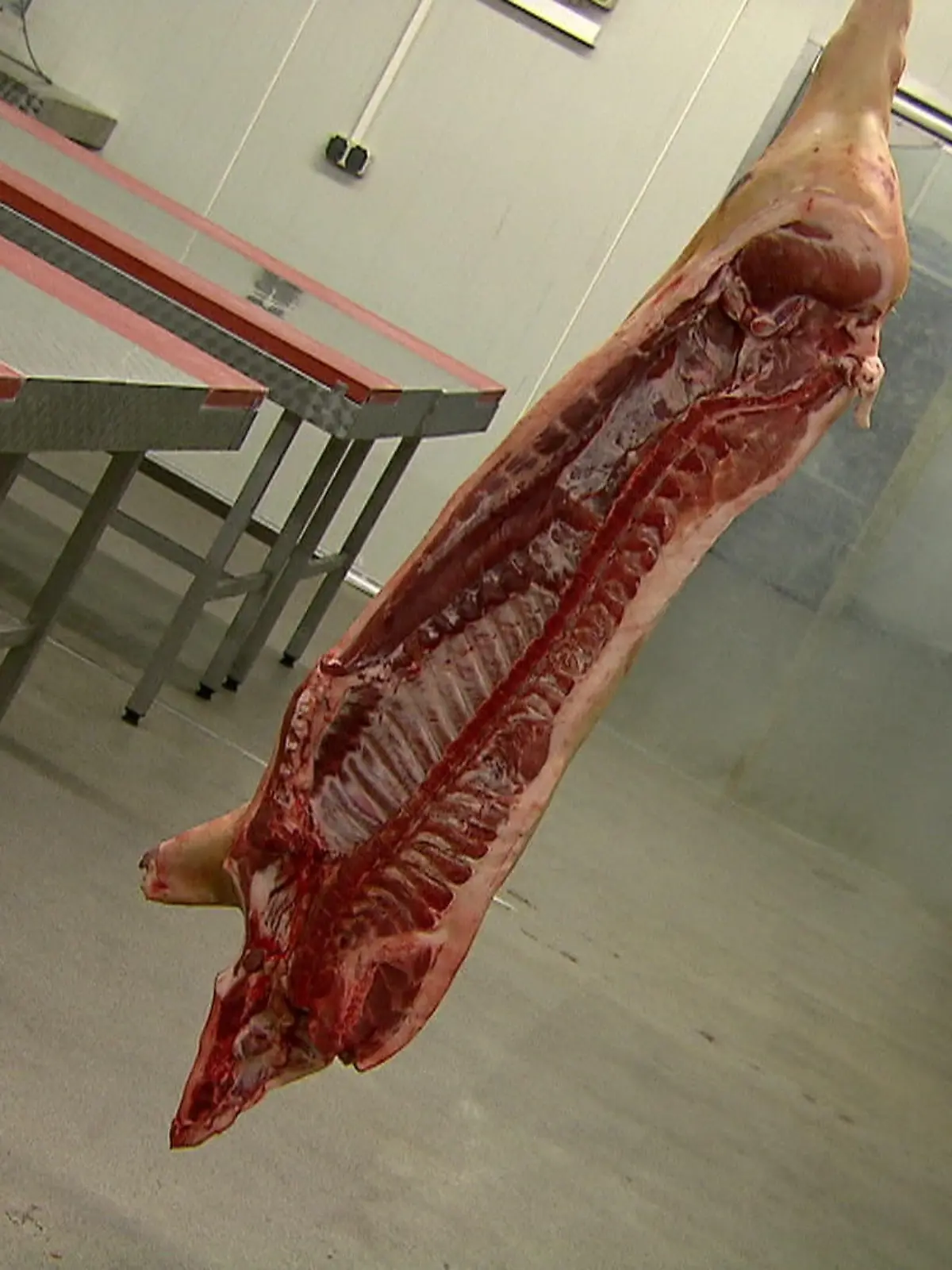 Bild zu: "Eine Ausbildung, bei der es um die Wurst geht"