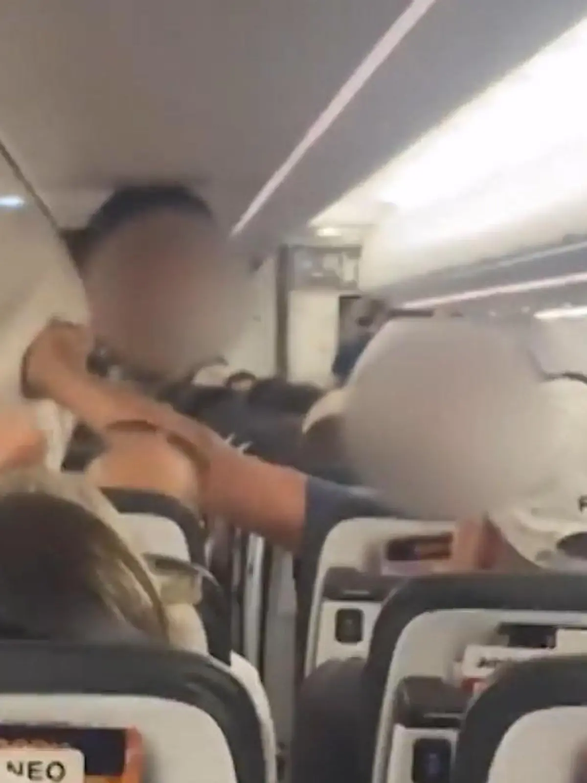 Bild zu: "Schlägerei im Bali-Flieger – Grund macht sprachlos"