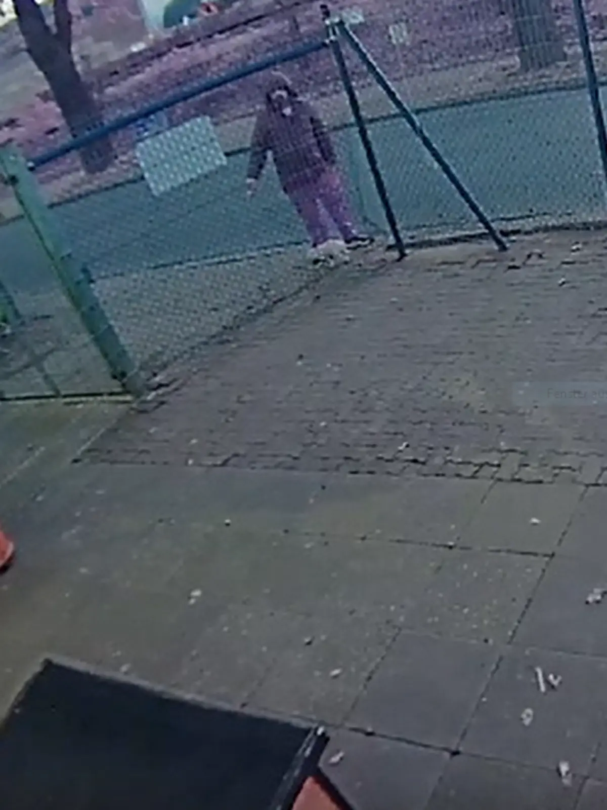 Der Unbekannte läuft einige Minuten vor dem Zaun auf und ab. 