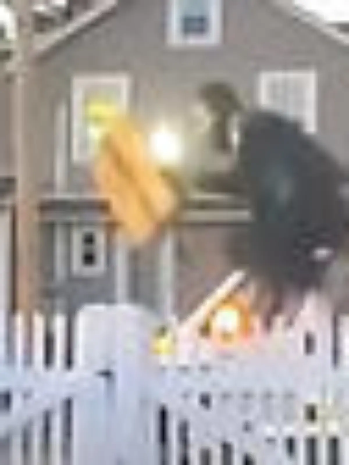 Respekt! Hund treibt Paketbote zur Höchstleistung an