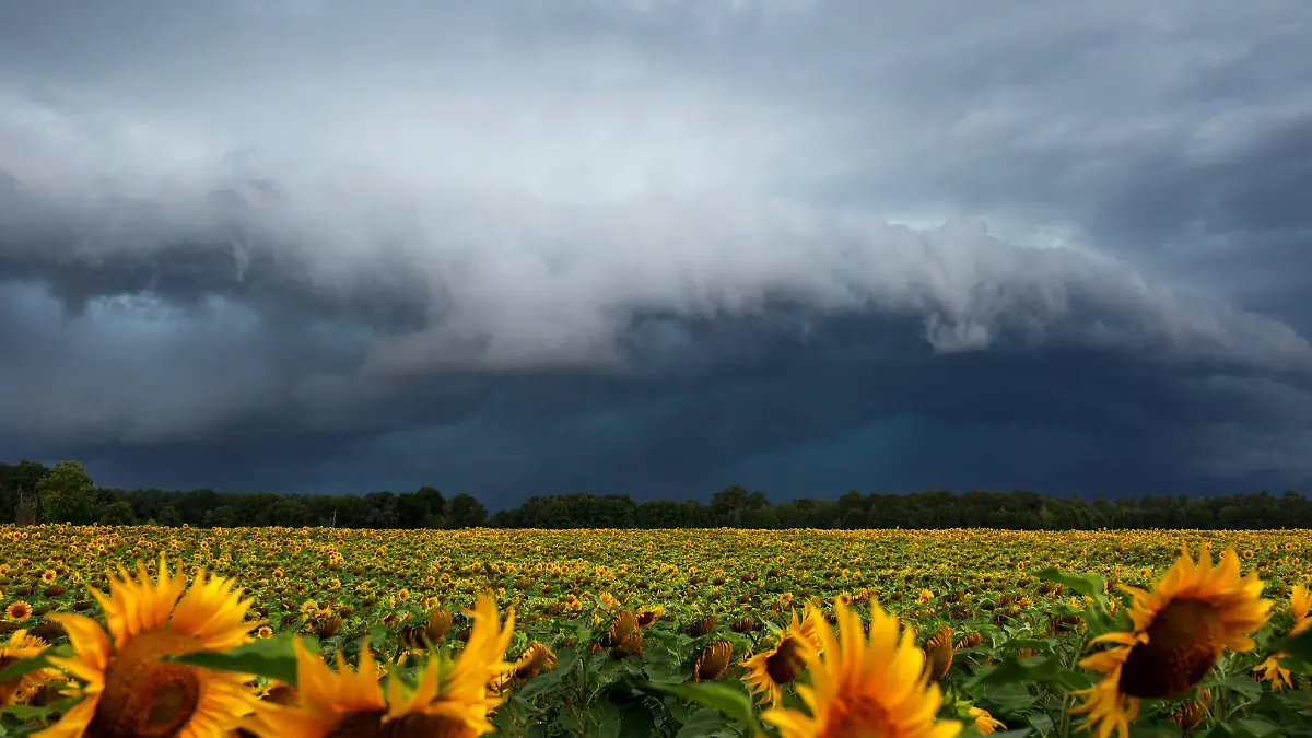 News Bilder des Tages Wetter in Brandenburg - Unwetter ziehen ueber die Lausitz DEU/Deutschland/Brandenburg/Neupetershai