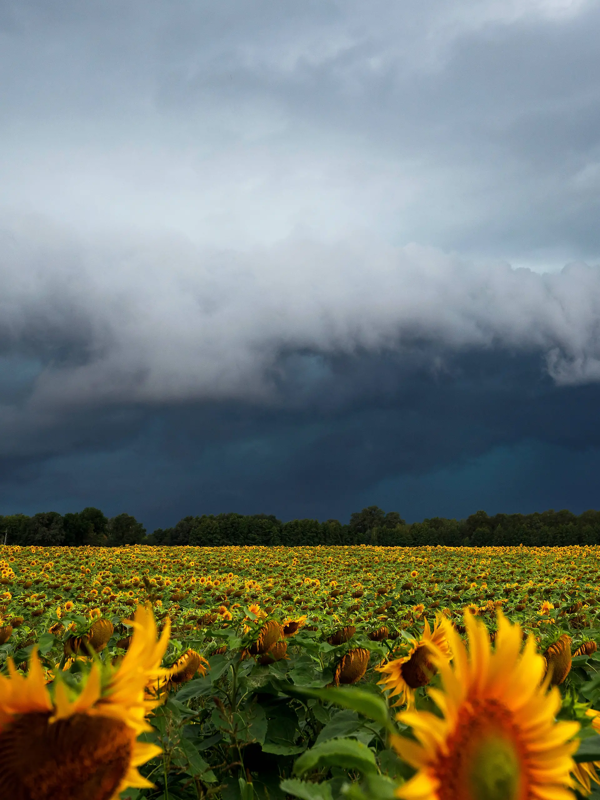 News Bilder des Tages Wetter in Brandenburg - Unwetter ziehen ueber die Lausitz DEU/Deutschland/Brandenburg/Neupetershai