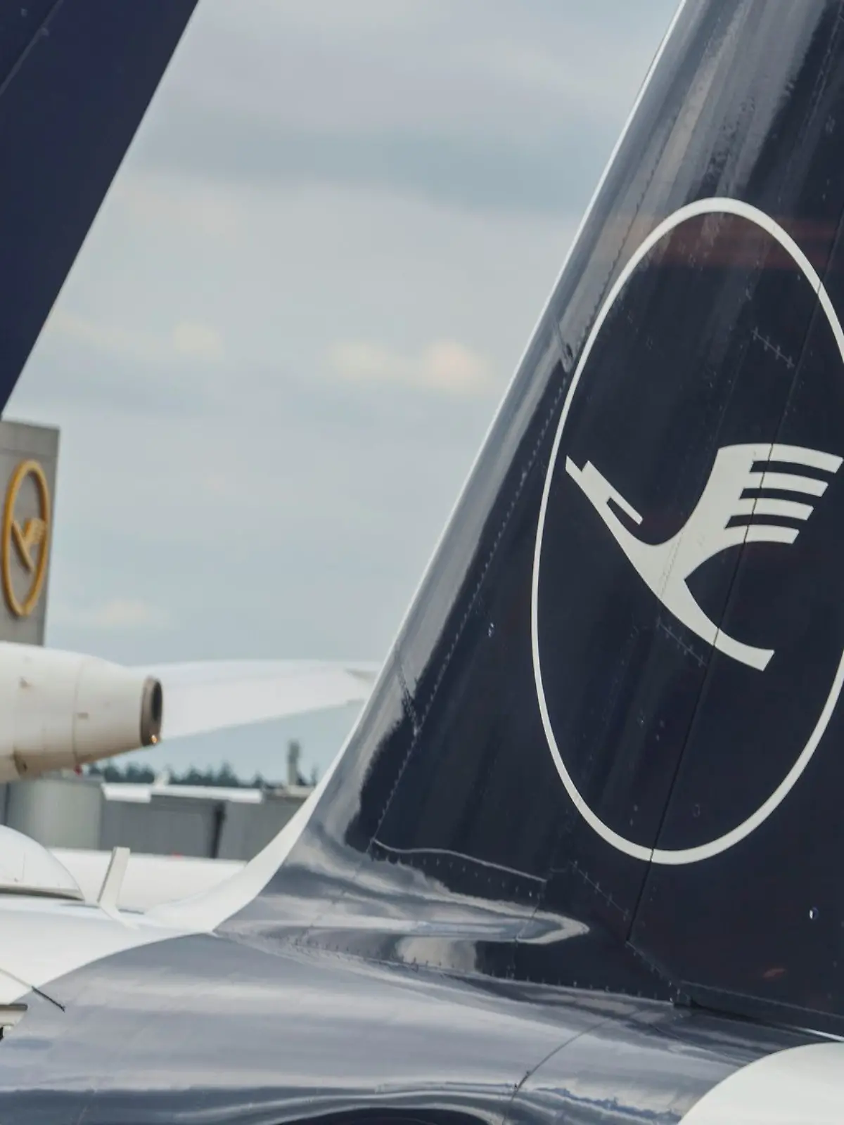 Bild zu: "Lufthansa-Pannenflieger muss kurz nach dem Start umdrehen"