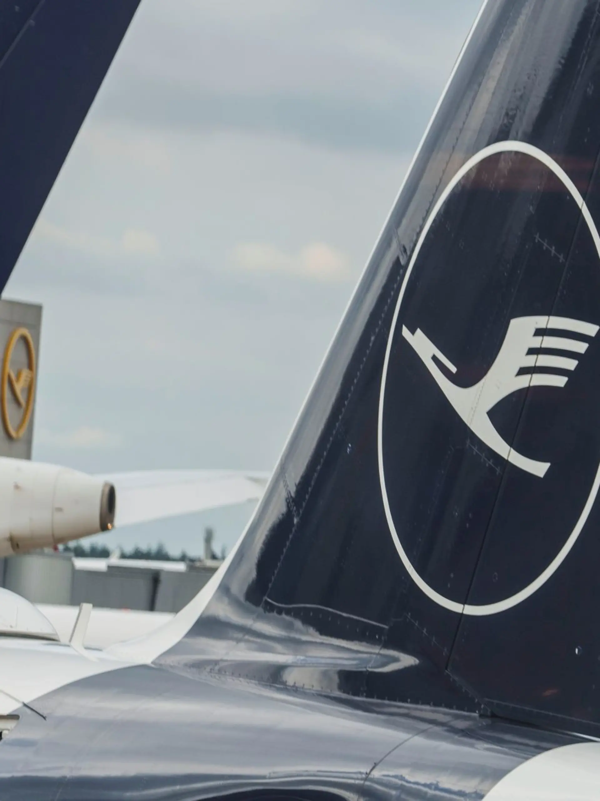 Bild zu: "Lufthansa-Pannenflieger muss kurz nach dem Start umdrehen"