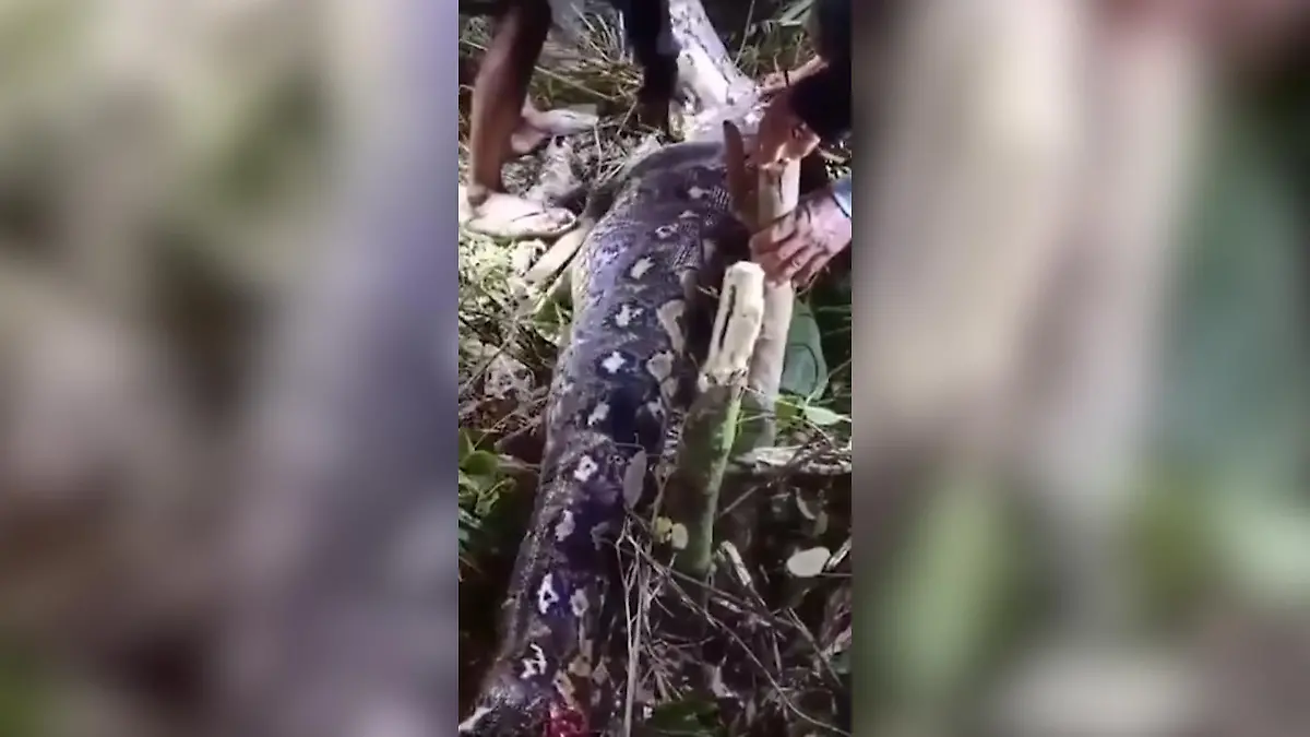 Gera: Frau in Straßenbahn angezündet – Tatverdächtiger stellt sich