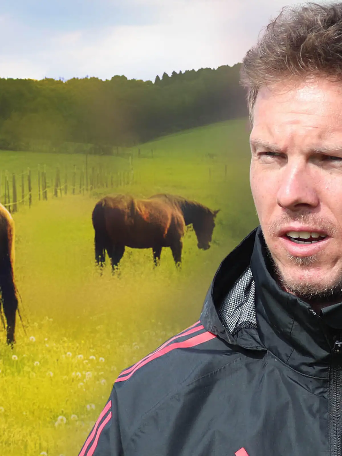 Julian Nagelsmann sucht Hilfe bei Pferden.
