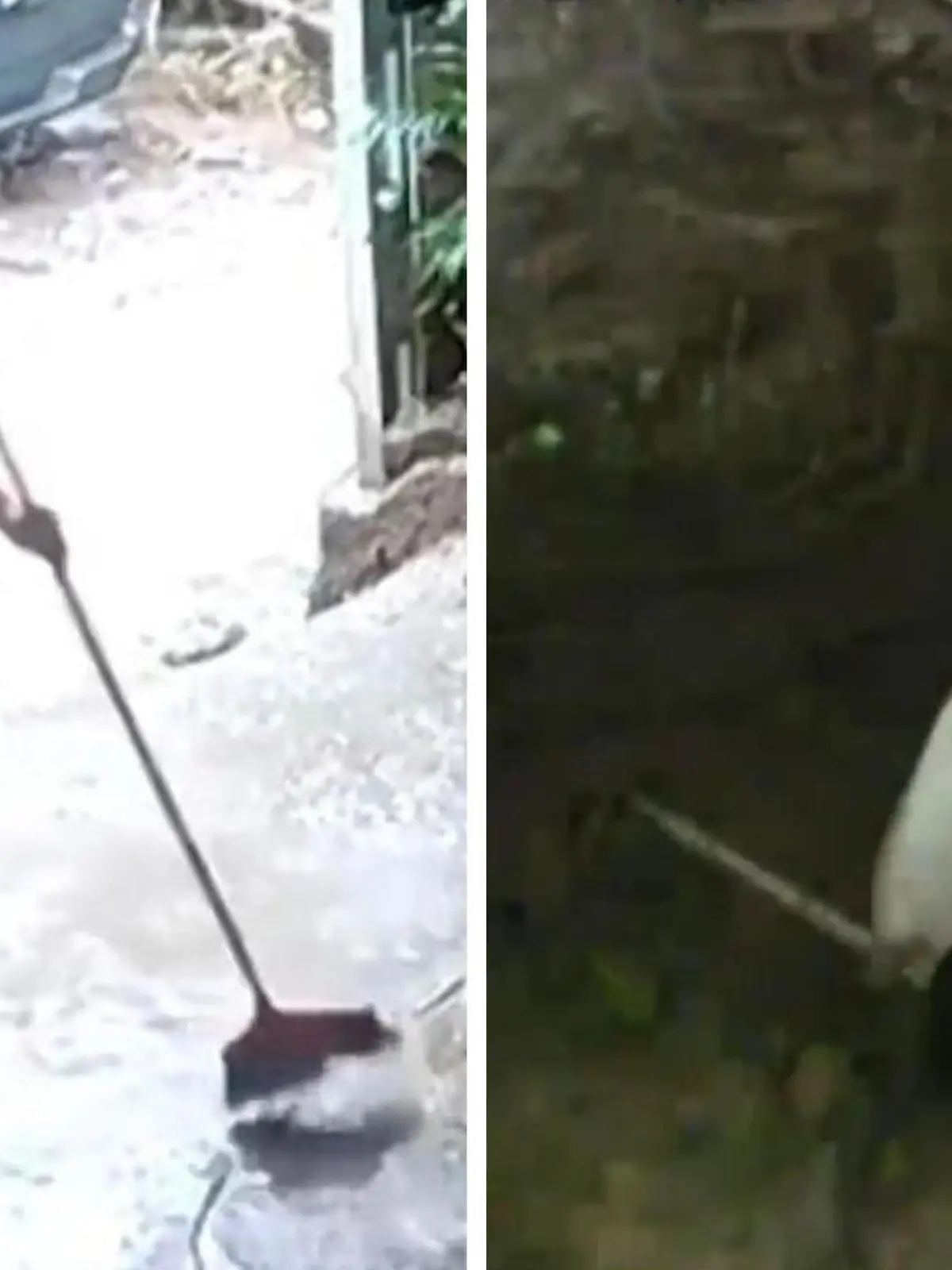 Bild zu: "Erdrutsch verschluckt Haus! Enkel (3) rettet Oma das Leben"