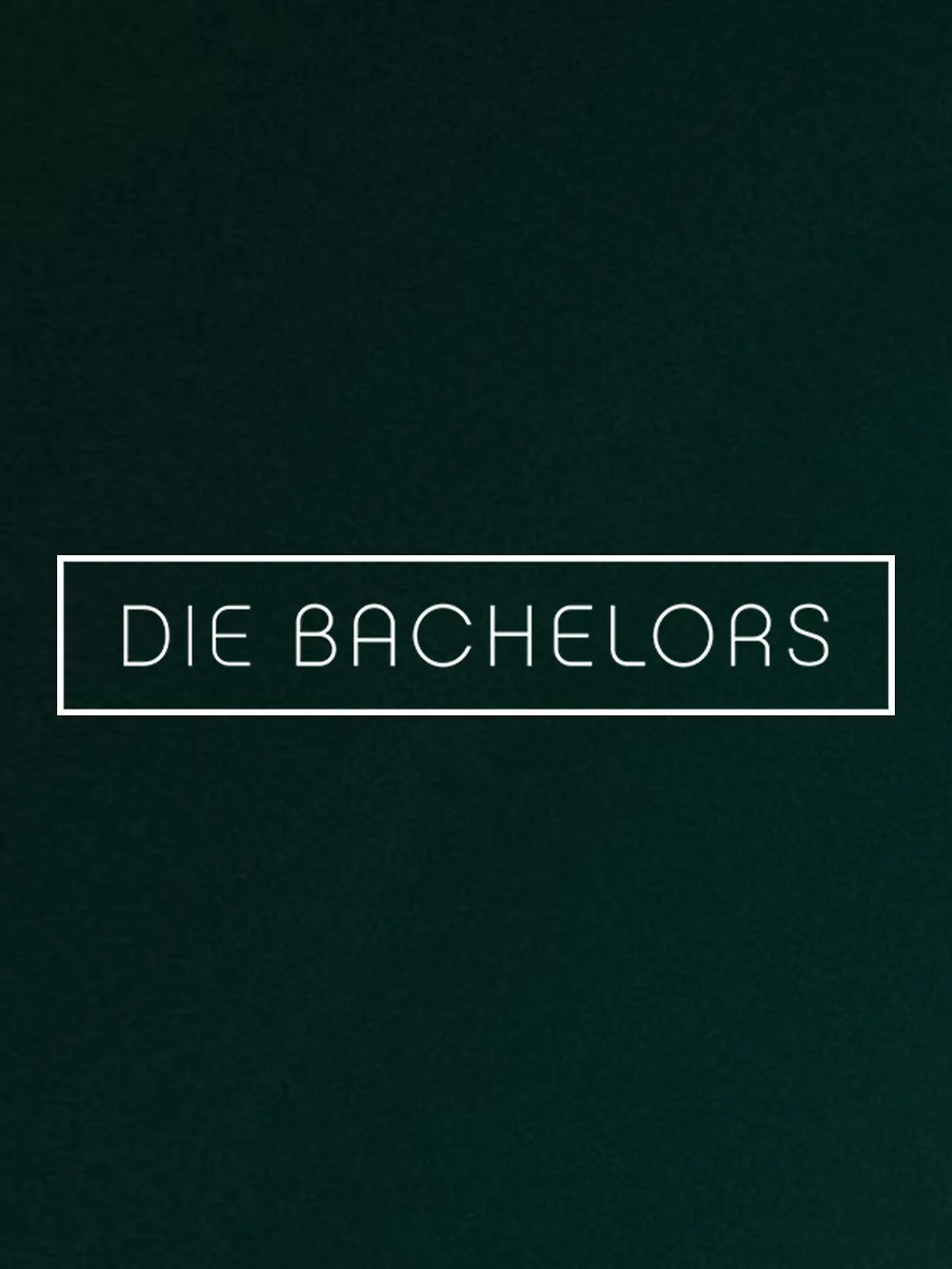 Bild zu: "Die Bachelors"