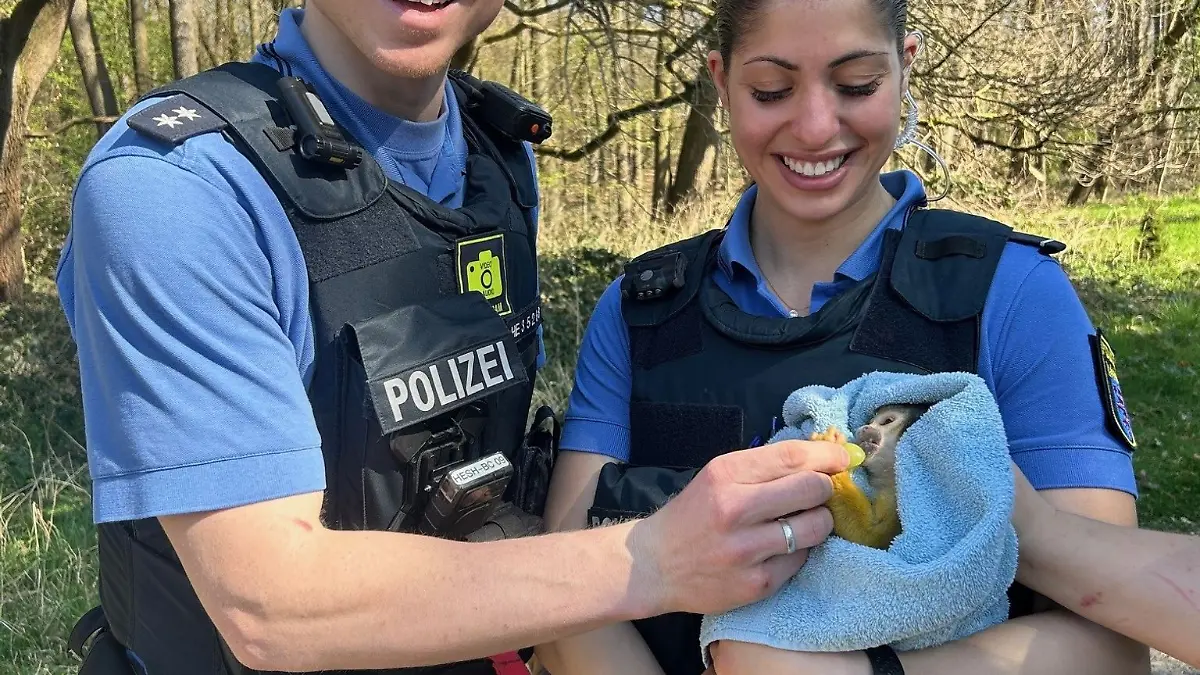 Äffchen mit einer List eingefangen. (Handout)