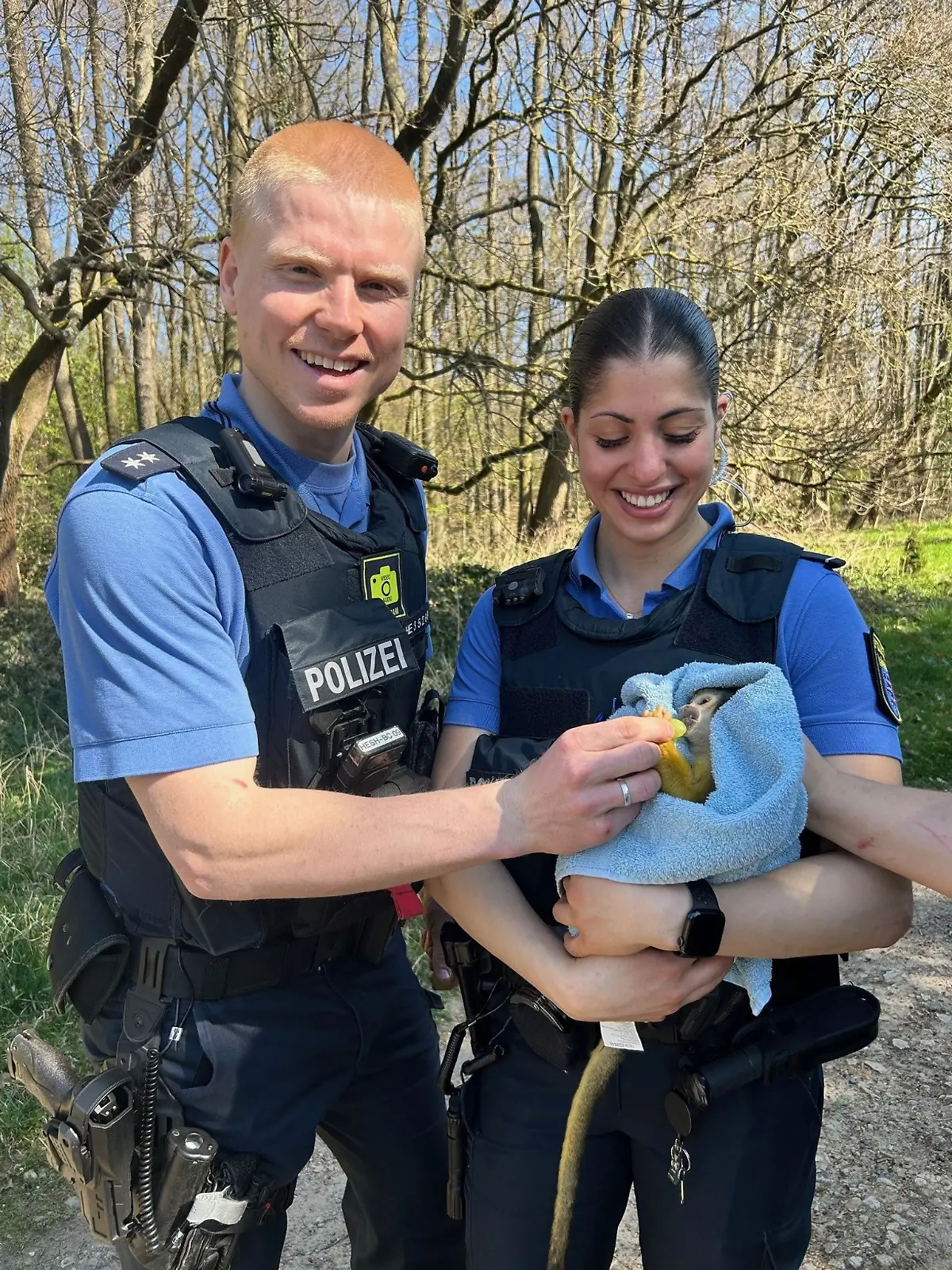 Bild zu: "Polizei fängt ausgebüxten Affen mit Trick aus seinem Versteck"