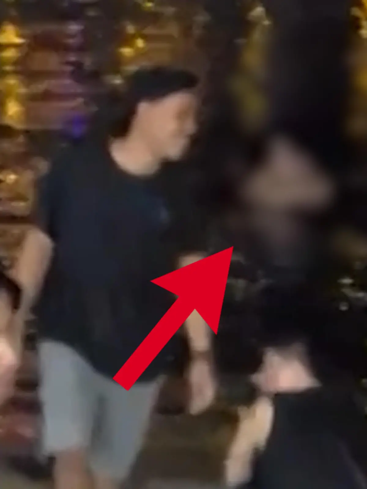 Bild zu: "Paar liefert nackte Aqua-Show"