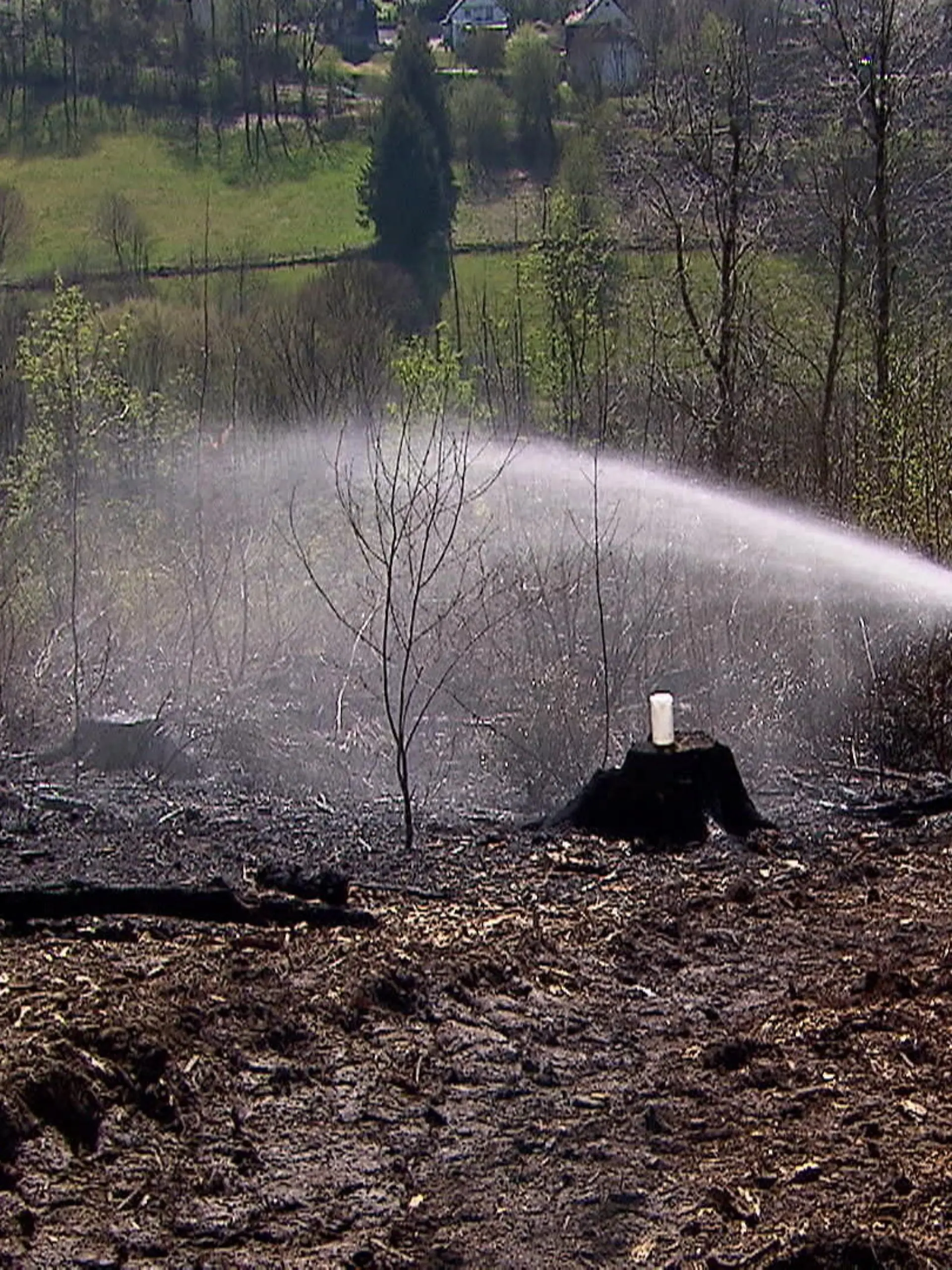 Bild zu: "Über 300 Feuerwehrkräfte im Einsatz bei Waldbrand"