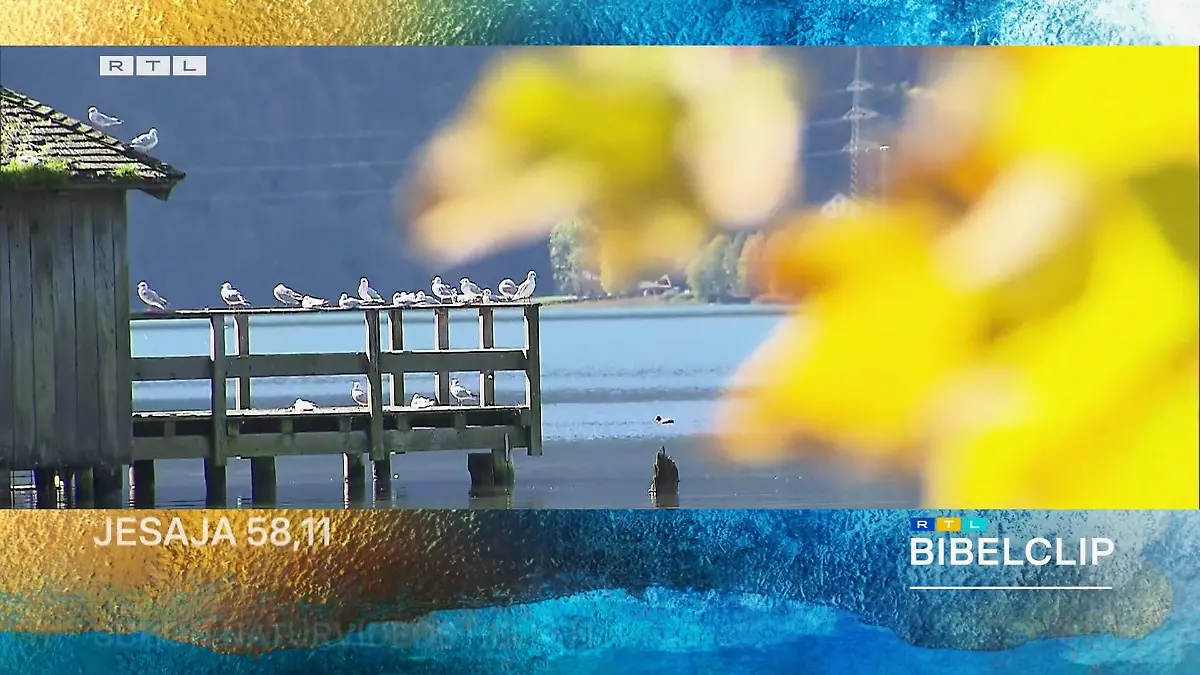 Natur betrachten lindert Schmerzen Bibelclip vom 06.04.2025