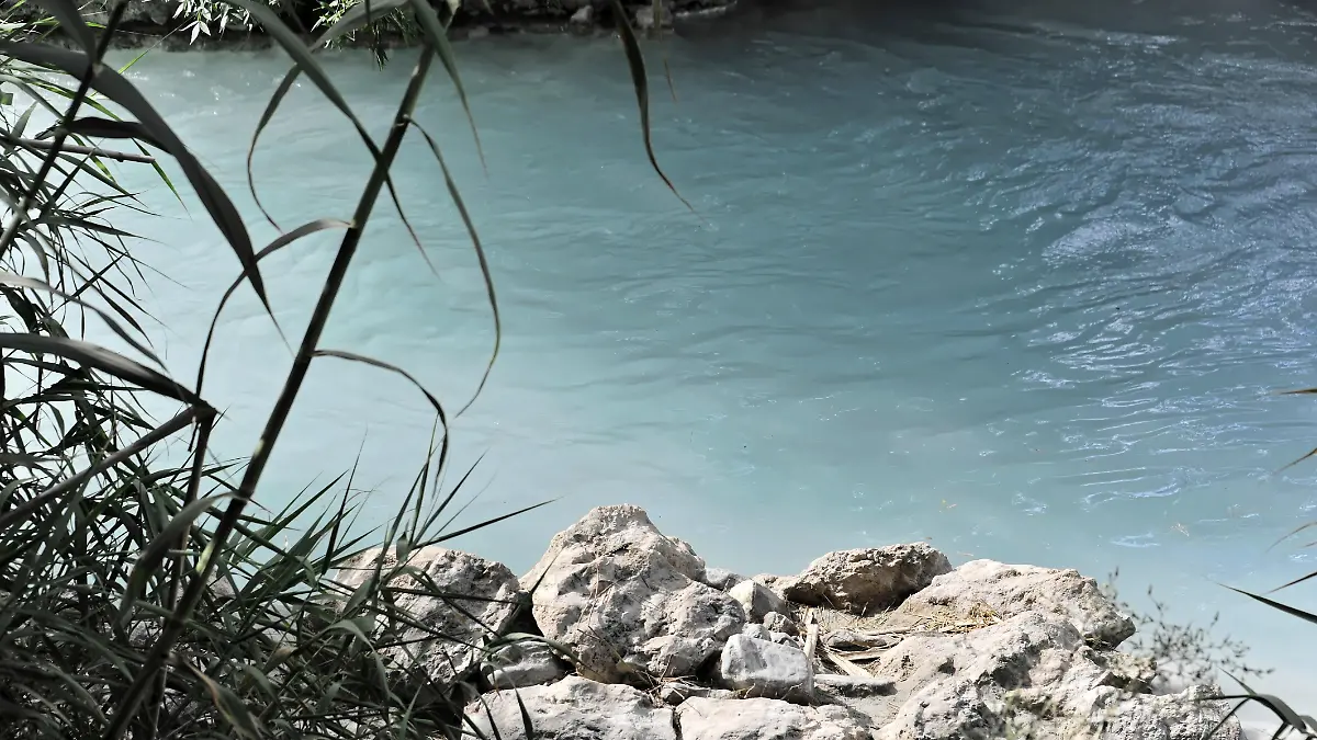 Eine Lehrerin entdeckt mit ihrer Schulklasse eine Frauenleiche im Wasser.