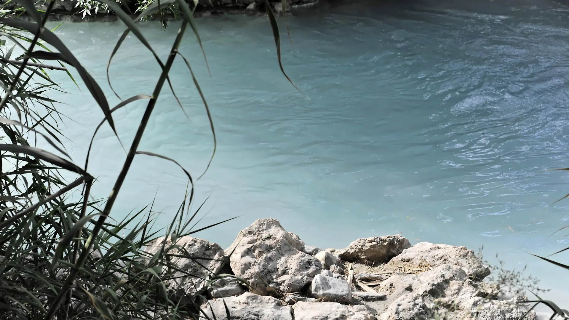 Eine Lehrerin entdeckt mit ihrer Schulklasse eine Frauenleiche im Wasser.