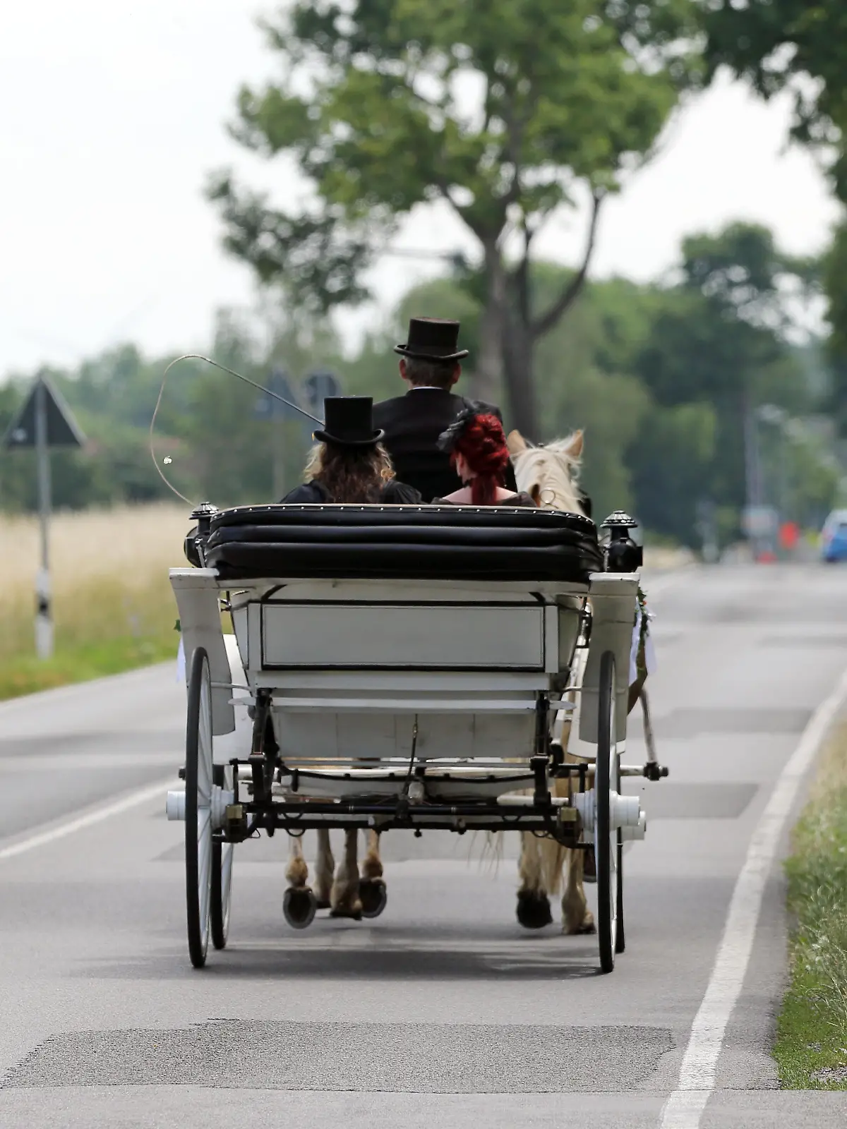 Bild zu: "Auto prallt gegen Kutsche – Menschen und Pferde verletzt"