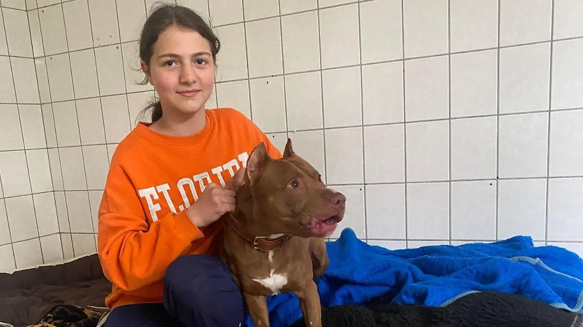 Sofia und ihr Hund Jerry im Tierheim gucken in die Kamera