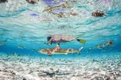 Tauchen & schnorcheln in Kroatien