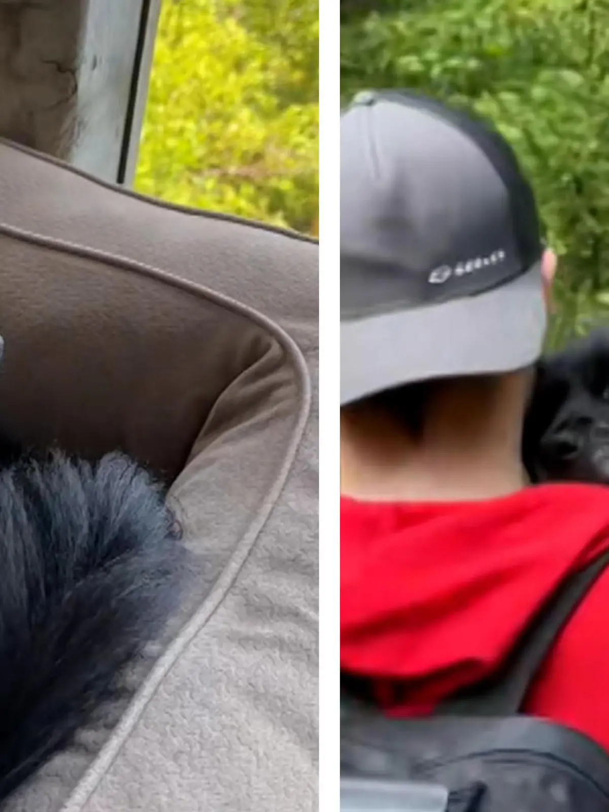 Hund Hugo ist schwer krank und liegt im Sterben. Für seine letzten Tage haben sich seine Halter deshalb etwas ganz Besonderes ausgedacht und fahren mit dem Vierbeiner zu seinem liebsten Ort in ganz Kanada!