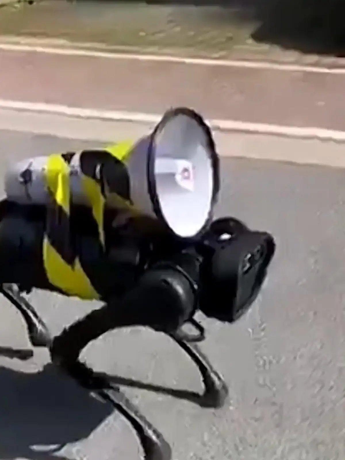 Bild zu: "Robo-Hund gibt Anti-Corona-Tipps"