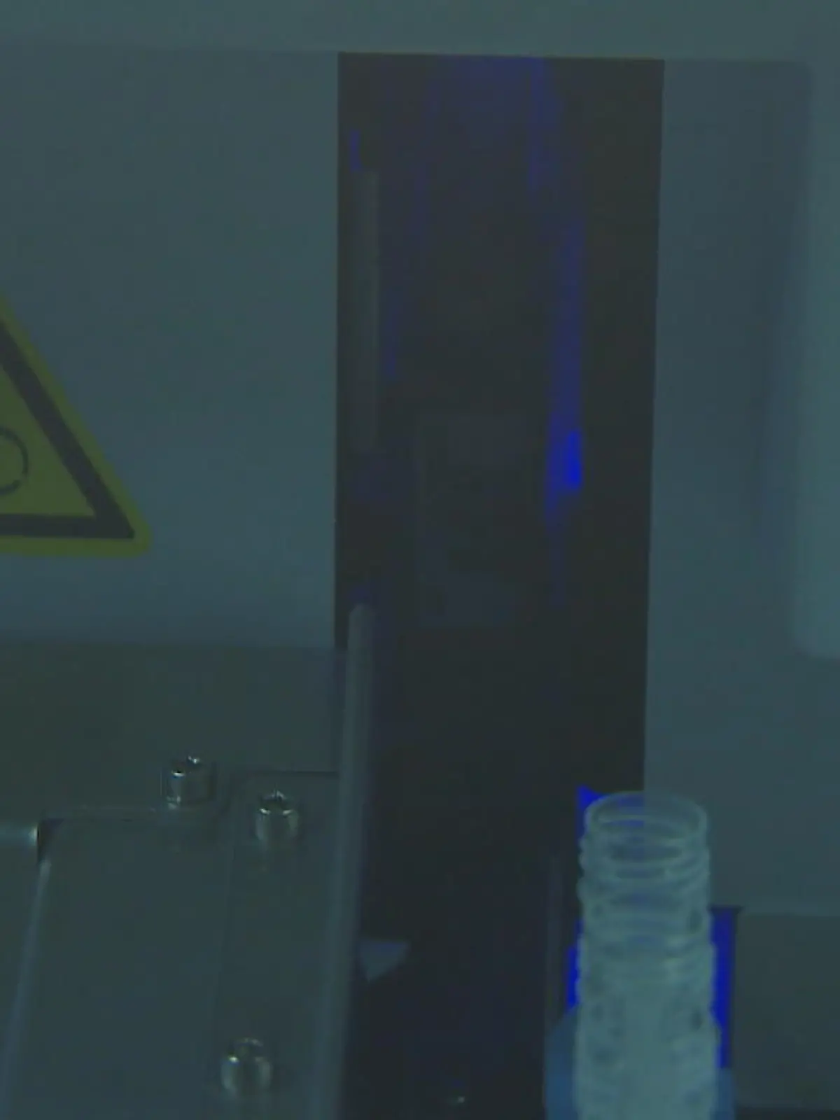 Bild zu: "Quarantäne soll halbiert werden"