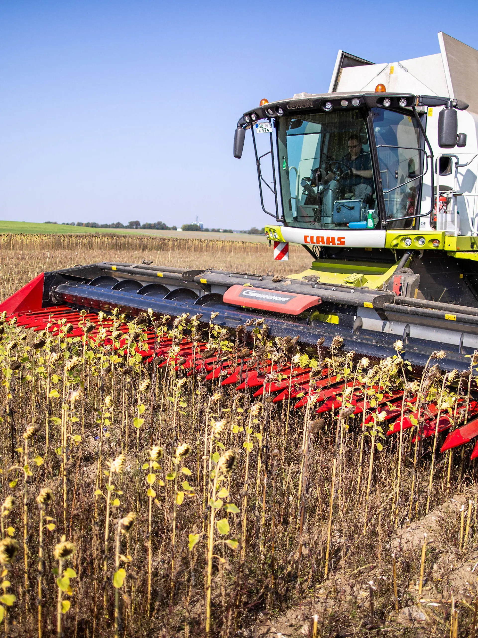 ARCHIV - 22.09.2020, Mecklenburg-Vorpommern, Linstow: Mähdrescher ernten auf einem Feld Sonnenblumen für die ökolgische Futtermittelproduktion. Angesichts des zunehmenden Artensterbens und dem damit einhergehenden Verlust der biologischen Vielfalt hat die Umweltschutzorganisation BUND den verstärkten Ausbau des Ökolandbaus gefordert. (Zu: dpa «Umweltorganisation BUND fordert mehr Ökolandbau für mehr Artenschutz») Foto: Jens Büttner/dpa-Zentralbild/dpa +++ dpa-Bildfunk +++