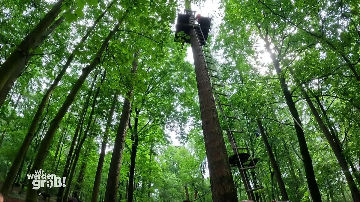 Teenies stellen sich dem Test in 15 Metern Höhe Hoch hinaus