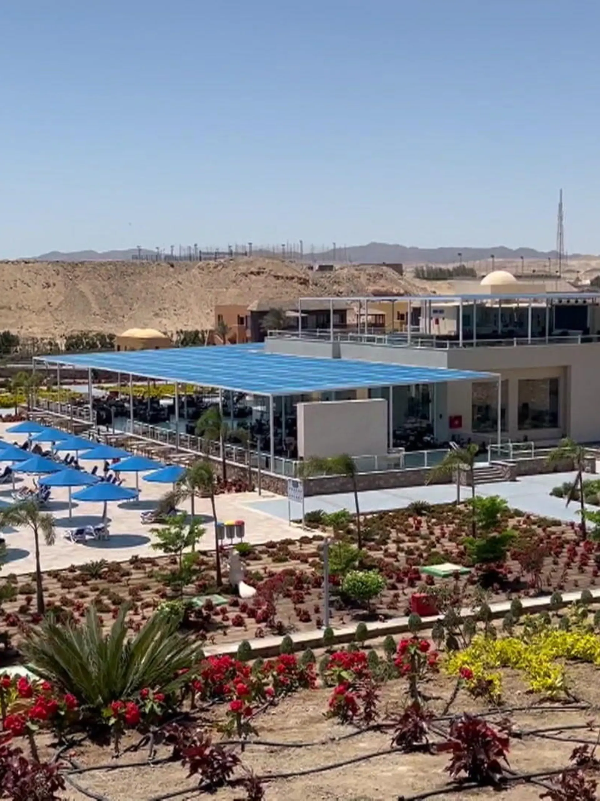 Hotel der Kette Pickalbatros