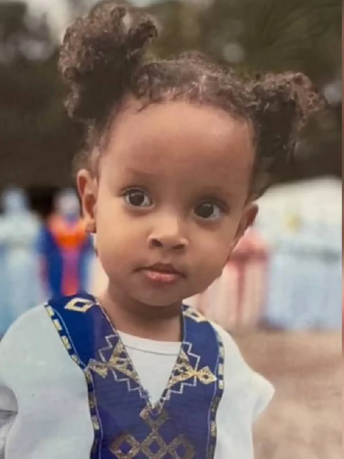 Maya Getahun (2) starb im Oktober 2024 nach Bissen durch Feuerameisen.