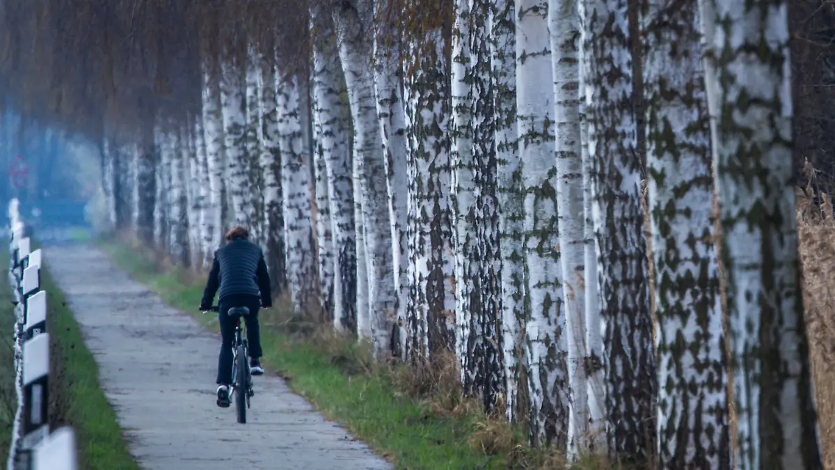 Trübes Wetter in Norddeutschland